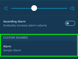 Werkzeug und baumaterial für profis und heimwerker. How To Set An Alarm With Alexa 15 Steps With Pictures Wikihow
