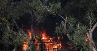 Görögországban sem csillapodnak a lángok. Index Kulfold Tuz Utott Ki Egy Gorogorszagi Menekulttaborban Meghalt Egy Gyermek