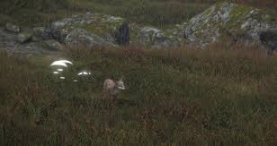 скачать игру The Hunter Call Of The Wild бесплатно The Hunter Call Of The Wild Coyote Missions Guide With Hotspots Call Of The Wild Hunter Wild