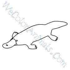 Use this lesson in your classroom, homeschooling curriculum or just as a fun kids activity that you as a parent can do. Platypus Coloring Pages