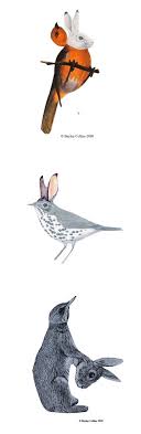 Pin By Ds Grahn On Art Artist Illustration Art Animal Art Bird Art