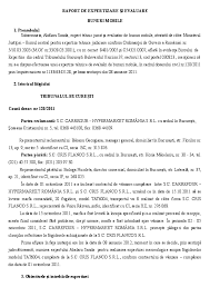 Doc Raport De Expertizare Si Evaluare Bunuri Mobile Liliana Rotari Academia Edu