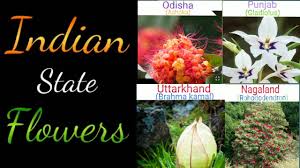 Maybe you would like to learn more about one of these? Often Asked State Flowers Of India Kerala Travel Tours