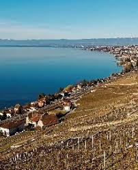 Search for restaurants, hotels, museums and more. Cave De La Cote Chasselas Vieilles Vignes Morges Raclette De