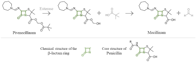 Number 11 (temocillin) has a methoxy (—och3) group at position 6a this confers high. Figure 2 From Mecillinam Resistance In E Coli Fitness Compensation And Resistance In Different Environments Semantic Scholar