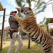 Joe exotic's team to request trump to pardon tiger king star. Apparently Joe Exotic Got Distracted By His Own Adult Film During His Murder For Hire Trial