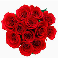 Jewel osco will be issuing black friday ads, also known as flyers or circulars, listing the deals, sales and specials on a variety of grocery items and food products. Red Roses 12 Count Jewel Osco