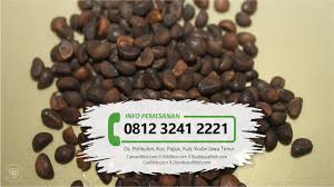 Jual aneka biji tanaman hidroponik, bibit buah, bibit bunga, kaktus, sukulen, hobi dan tips berkebun, manfaat buah dan sayur ::: Jual Benih Biji Sayur Kangkung Tamanbibit Com