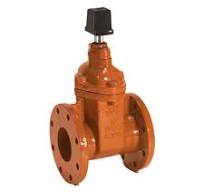 Ductile Iron 12" Flanged AWWA C515 Gate Valves - Op Nut