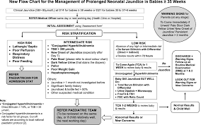 impact of a standardized protocol for the management of