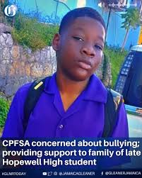 The Child Protection and Family Services Agency has expressed deep concern  about bullying, following the tragic death of a 13-year-old Hopewell High  School student in Hanover, who reportedly took his ...