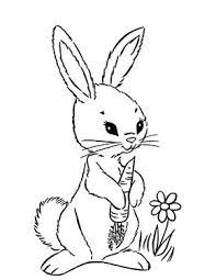 Ausmalbild Osterhase Isst Karotte Zum Ausmalen Ausmalbilder Malvorlagen Ostern Osterhase K Malvorlage Hase Malvorlagen Tiere Malvorlagen Ostern