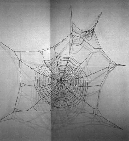 Work by Jim Hodges