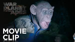 Ein tödliches virus hat den menschen arg zugesetzt, die affen um den schimpansen caesar hingegen haben an intelligenz gewonnen und zeigen friedfertige absichten. War For The Planet Of The Apes Bad Ape And Maurice Clip 20th Century Fox Youtube