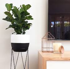 Image13 Jpg 585 582 Pixels Kmart Decor Kmart Home Ikea Plants Terrific indoor planter with metal stand only on homelikeart.com.