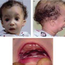 Samira Ismail's research works