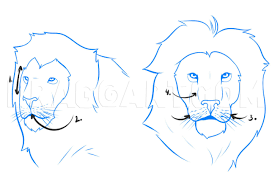 Connect the ends of the u with a wavy line. How To Draw A Lion Step By Step Drawing Guide By Dawn Dragoart Com