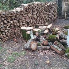 Call or come by today! Kiln Dried Split Firewood Kiln Dried Firewood In Bags Oak Fire Wood Buy Fresh Firewood Natural Firewood Firewood For Sale Product On Alibaba Com