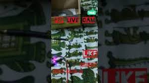 Esta aplicación se incluye la más conocida tecnología conectivo iot. P2p Cam Live App