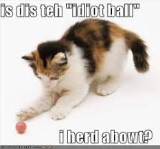 Image result for lolcats