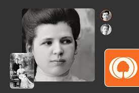 Check the list of best animation apps with free download for android and ios. So You Can Animate Photos With Myheritage
