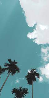 Green Trees Under Blue Sky Photo Free Plant Image On Unsplash Wallpaper Iphone Summer Scenery Wallpaper Clouds Wallpaper Iphone