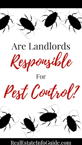 Are Landlords Responsible For Pest Control Real Estate Info Guide Being A Landlord Pest Control Real Estate Advice
