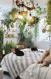 The Plants That Will Actually Thrive In Your Bedroom According To Plantfluencers Garden Bedroom Bedroom Plants Decor Bedroom Plants
