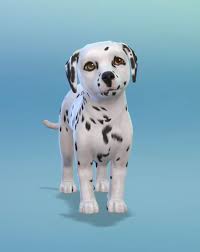 They are so damn ugly, only kitties are cute. I Always Thought Sims Puppies Were Kinda Ugly But Thesims