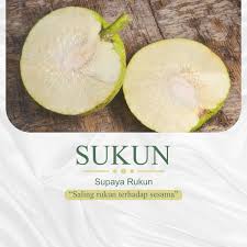 We did not find results for: à¦Ÿ à¦‡à¦Ÿ à¦° Filosofijawa à¦¹ à¦¯ à¦¶à¦Ÿ à¦¯ à¦—