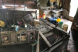 Permohonan online bantuan ipt maik 2020? Nenek Tular Jual Asam Keping Dapat Bantuan Zakat Bulanan Rumahnya Sebelum Ini Lebih Daif Maik Semasa Mstar