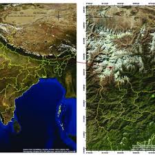 Image result for Brownleea mulanjiensis