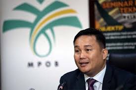 Mpic stands for ministry of plantation industries & commodities (malaysia). Biodiesel And New Markets Boost Palm Oil Price The Star
