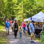 Art Walk in the Park
