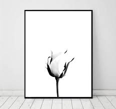 Black And White Flower Pictures Wall Art White Rose Print Flower Wall Art Minimal Wall Decor Botanical Print Rose Photography White And Black Digital Download Rose Art Poster Minimal Wall Decor Rose Art Flower Wall Art