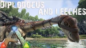 See full list on ark.fandom.com Ark Survival Evolved Leech Cure Diplodocus Taming By Sickdistic