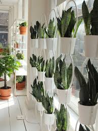 Catalogue Launch 2016 Plant Decor Indoor Ikea Plants House Plants Decor