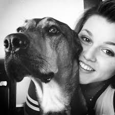 Cute blue point cat in Calais dolls group