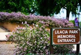 2026 Lombard Lilac Parade