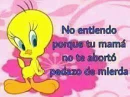 Memes De Piolin Los Mejores Memes De Tias Y De Piolin Memespuntocom Memes De Tios Memes Mejores Memes #piolin #tweety #looney tunes #cartoonsworld. los mejores memes de tias y de piolin