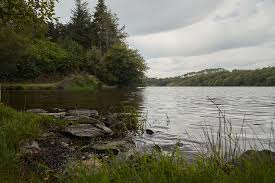 Camping Pour Peche En Vendee Camping Du Lac Du Jaunay