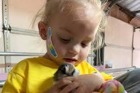 Fundraiser for Mallory Hill by Toni Odum-Griffin : Prayers for Giovanna  Ainslee Hill