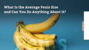 What age do i became full grown up man?? What Is The Average Penis Size And Can You Do Anything About It Health Com