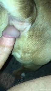 XXXSexZoo