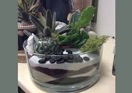 Se non hai il pollice verde, le piante grasse potrebbero essere la soluzione perfetta per aggiungere un tocco di vita in casa senza richiedere troppo impegno. Come Creare Fantastiche Composizioni Di Piante Grasse In Vetro Che Potrai Rivendere Velocemente Nel Tuo Negozio Con Alti Margini Dando Finalmente Il Giusto Valore Economico Al Tuo Tempo Complementi E Regali