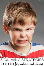 I am also a young ambassador for accessibility charity friendly access. 5 Calming Strategies For Autism Meltdowns That Actually Work