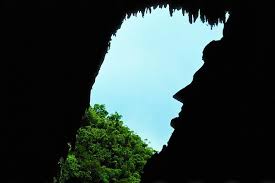 In 1984, taman negara was declared an asean. 3 Night Adventure In Mulu National Park 2021 Gunung Mulu National Park