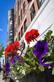 We deliver to all of nashua and the surrounding areas, including amherst florist. Our Facility Substance Abuse Recovery Nashua Nh Integrate Nh