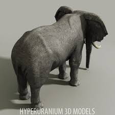 African Elephant 3d Model Elephant African Elephant 3d Model