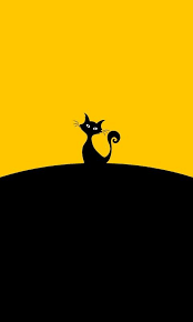 Memorising Yellow Cat Wallpaper Cat Wallpaper Background Hd Wallpaper Yellow Wallpaper